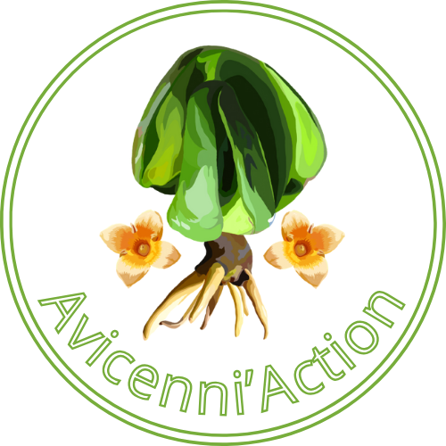Avicennia Solution
